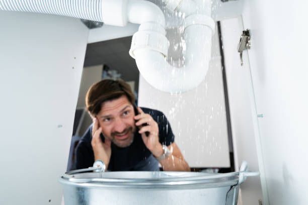 Best Plumbing Inspection Services  in Black Diamond, FL