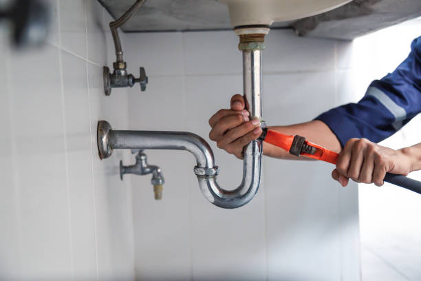 Best Drain Cleaning Services  in Black Diamond, FL